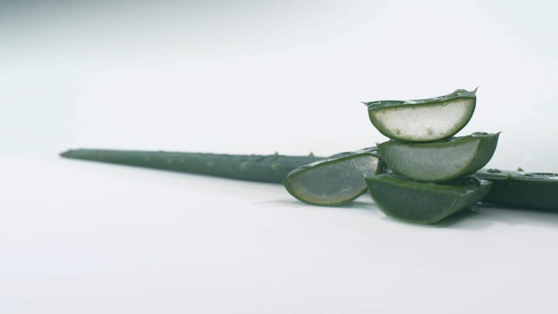 Aloe Vera as Natural Remedy for Pain in Anus