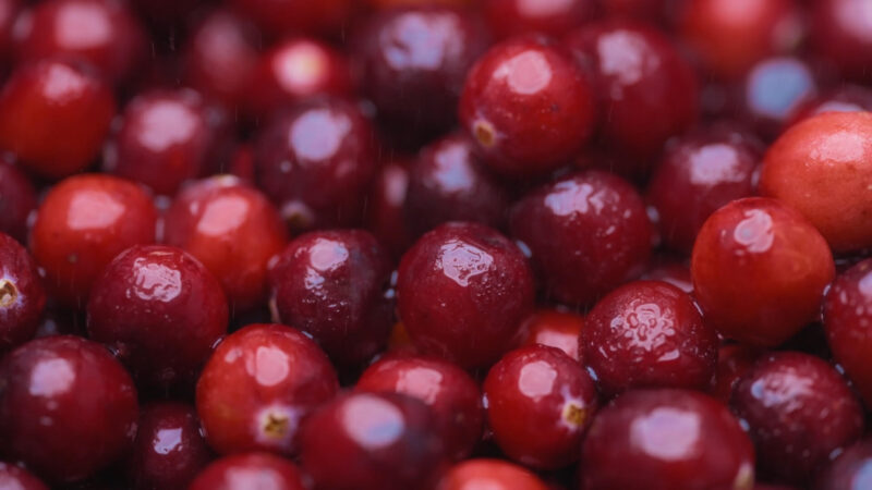 Cranberries for Anus Pain