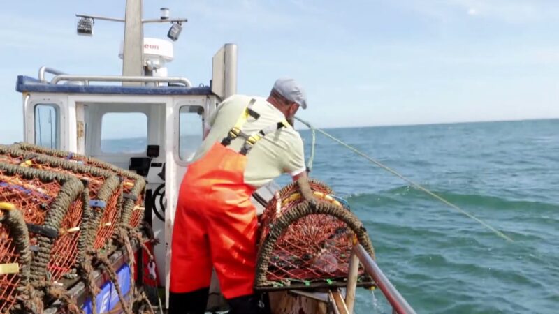 A Fisherman on A Boat Handling Traps in Open Water