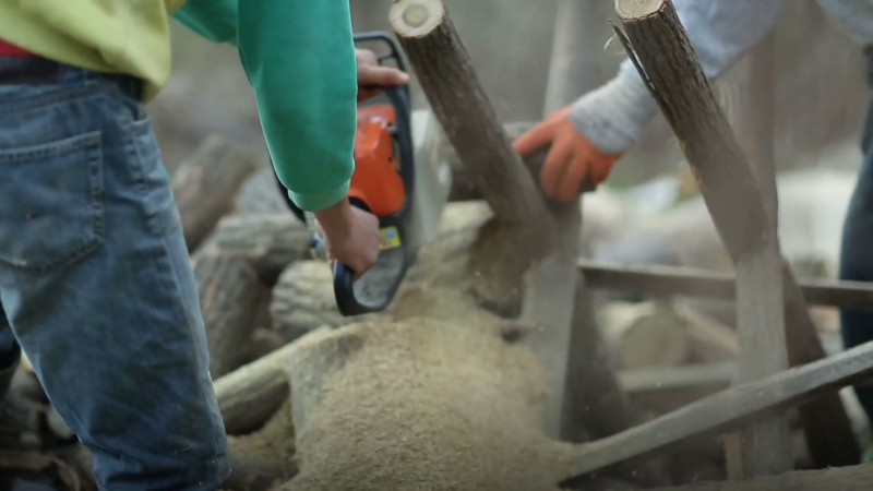 Two Workers Using a Chainsaw to Cut Logs, Highlighting the Physical and Hazardous Nature of Logging Work